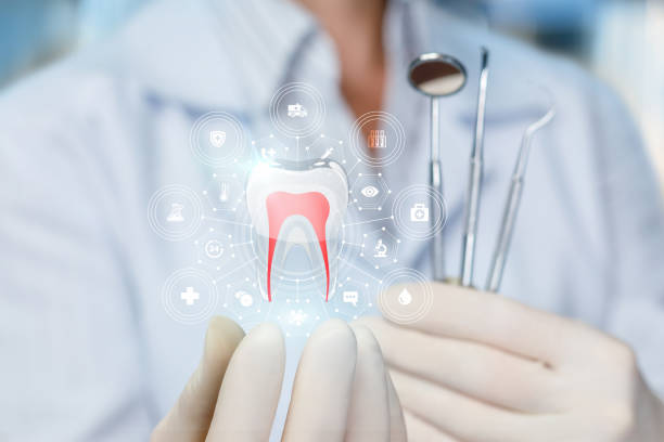 Best Commercial Dentistry  in Winlock, WA